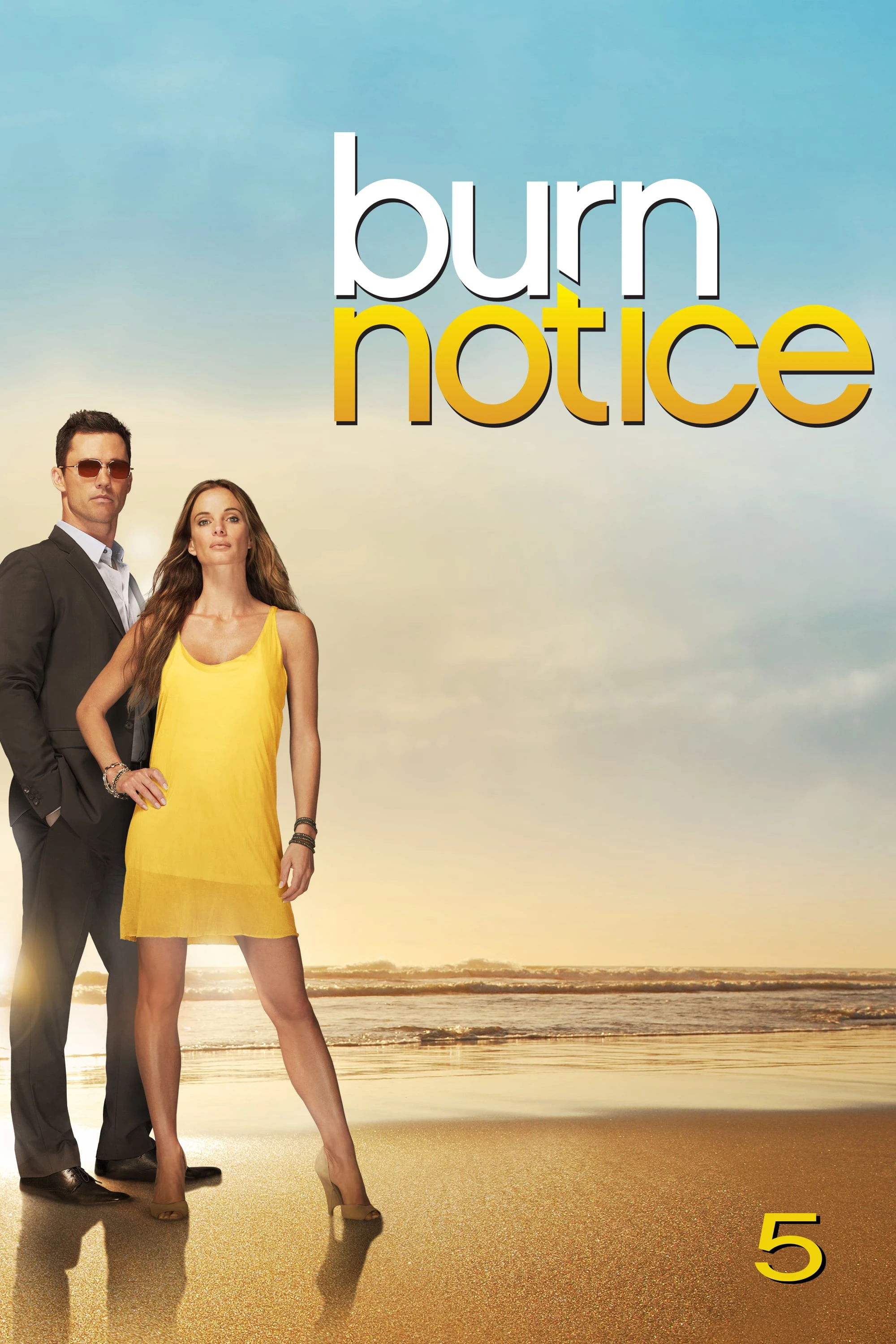 Lệnh Thanh Trừng (Phần 5) | Burn Notice (Season 5) (2011)