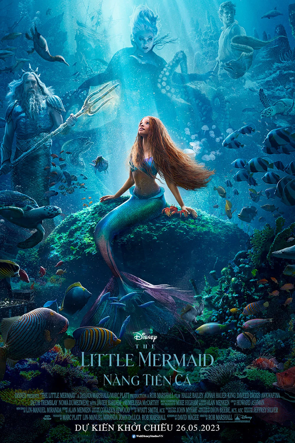 Nàng Tiên Cá | The Little Mermaid (2023)