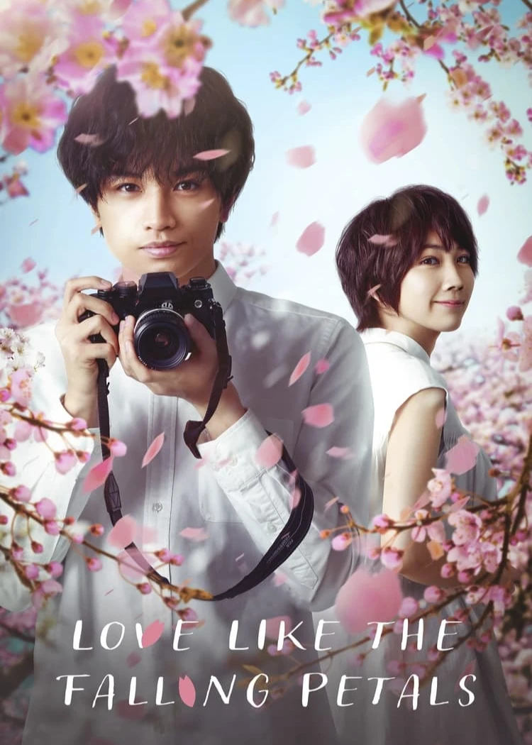 Tình yêu như cánh hoa rơi | Love Like the Falling Petals (2022)